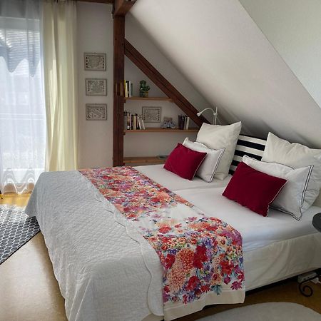Am Apfelbaum, Ein Ferienhaus Zwischen Rhein Und Mosel 카스텔룬 외부 사진