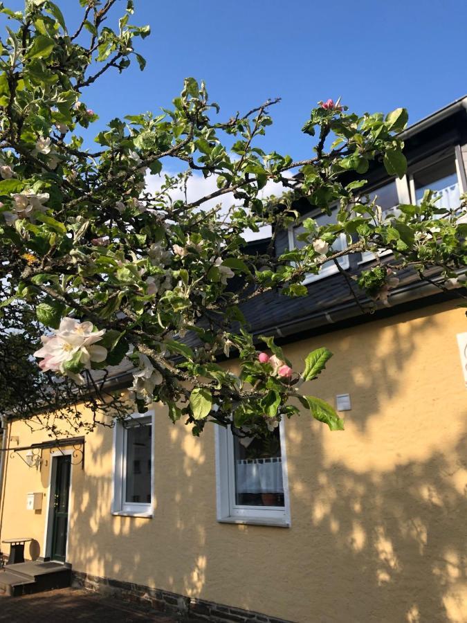 Am Apfelbaum, Ein Ferienhaus Zwischen Rhein Und Mosel 카스텔룬 외부 사진