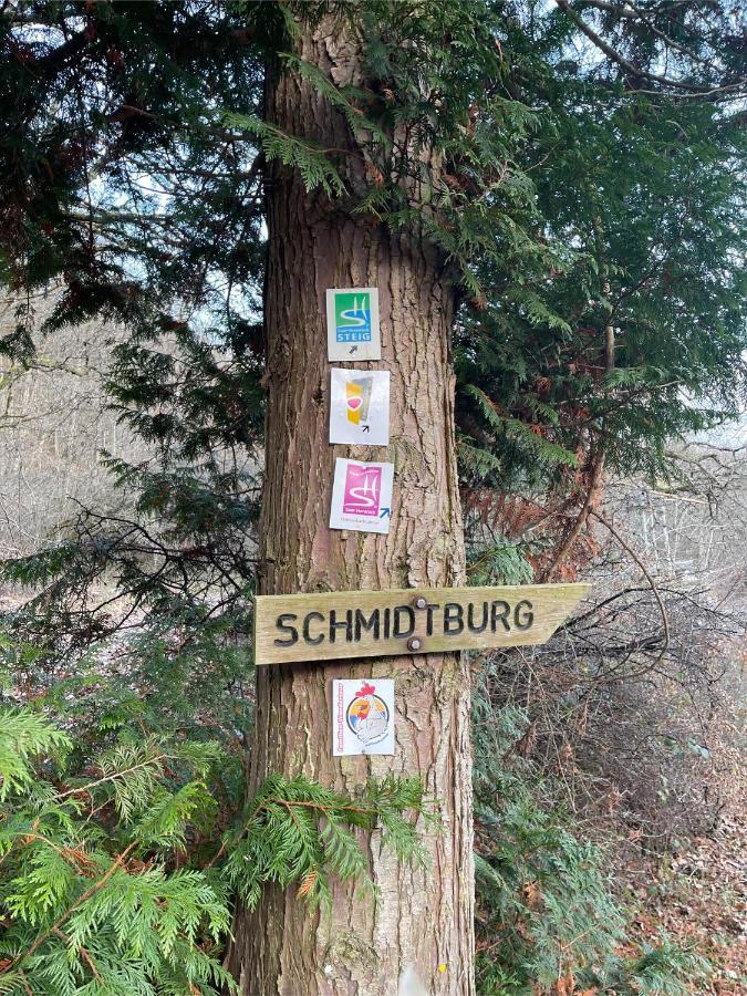Am Apfelbaum, Ein Ferienhaus Zwischen Rhein Und Mosel 카스텔룬 외부 사진
