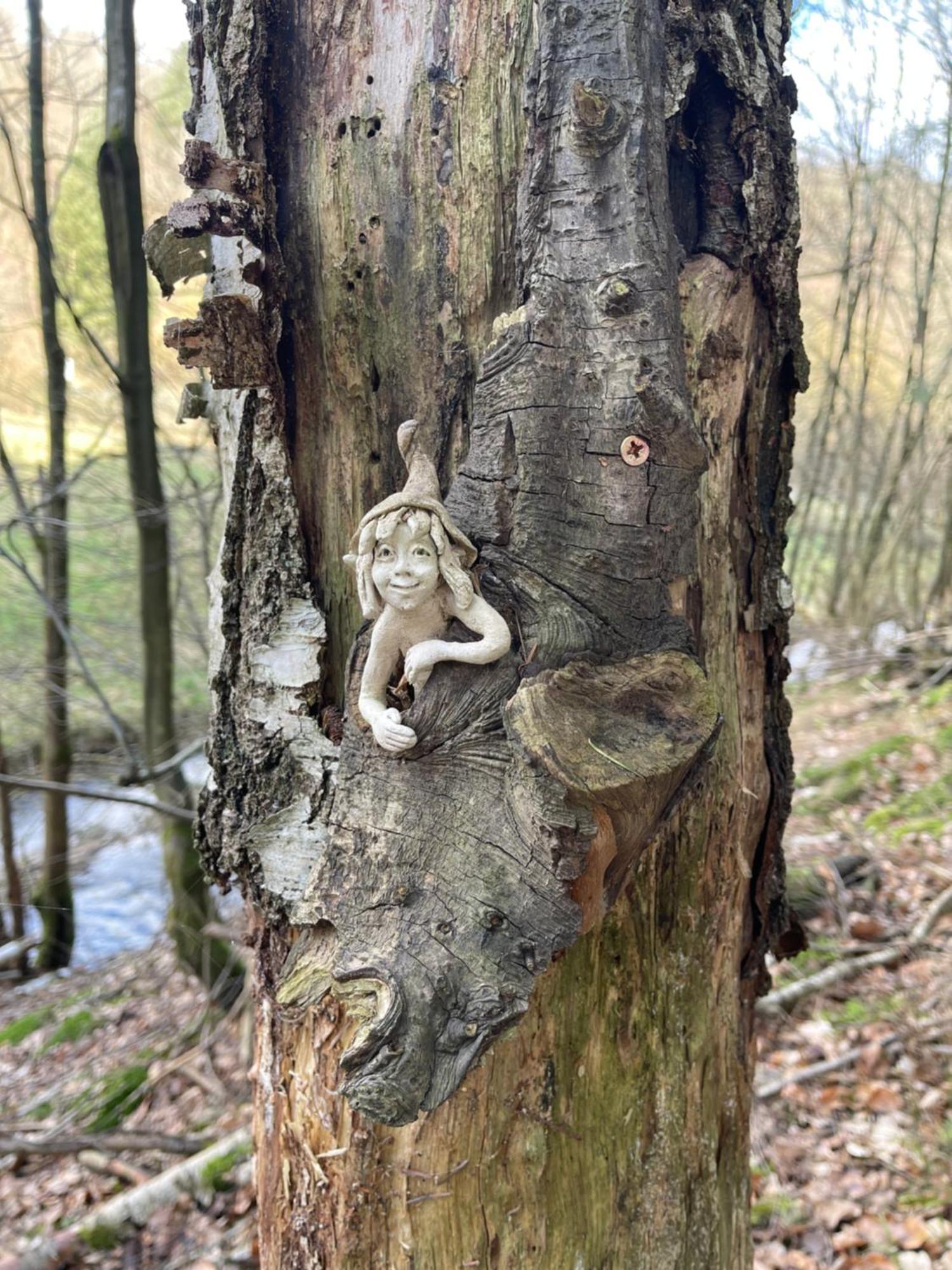Am Apfelbaum, Ein Ferienhaus Zwischen Rhein Und Mosel 카스텔룬 외부 사진