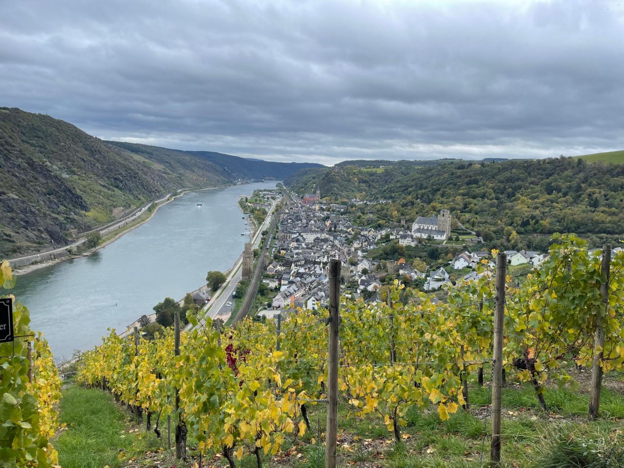 Am Apfelbaum, Ein Ferienhaus Zwischen Rhein Und Mosel 카스텔룬 외부 사진