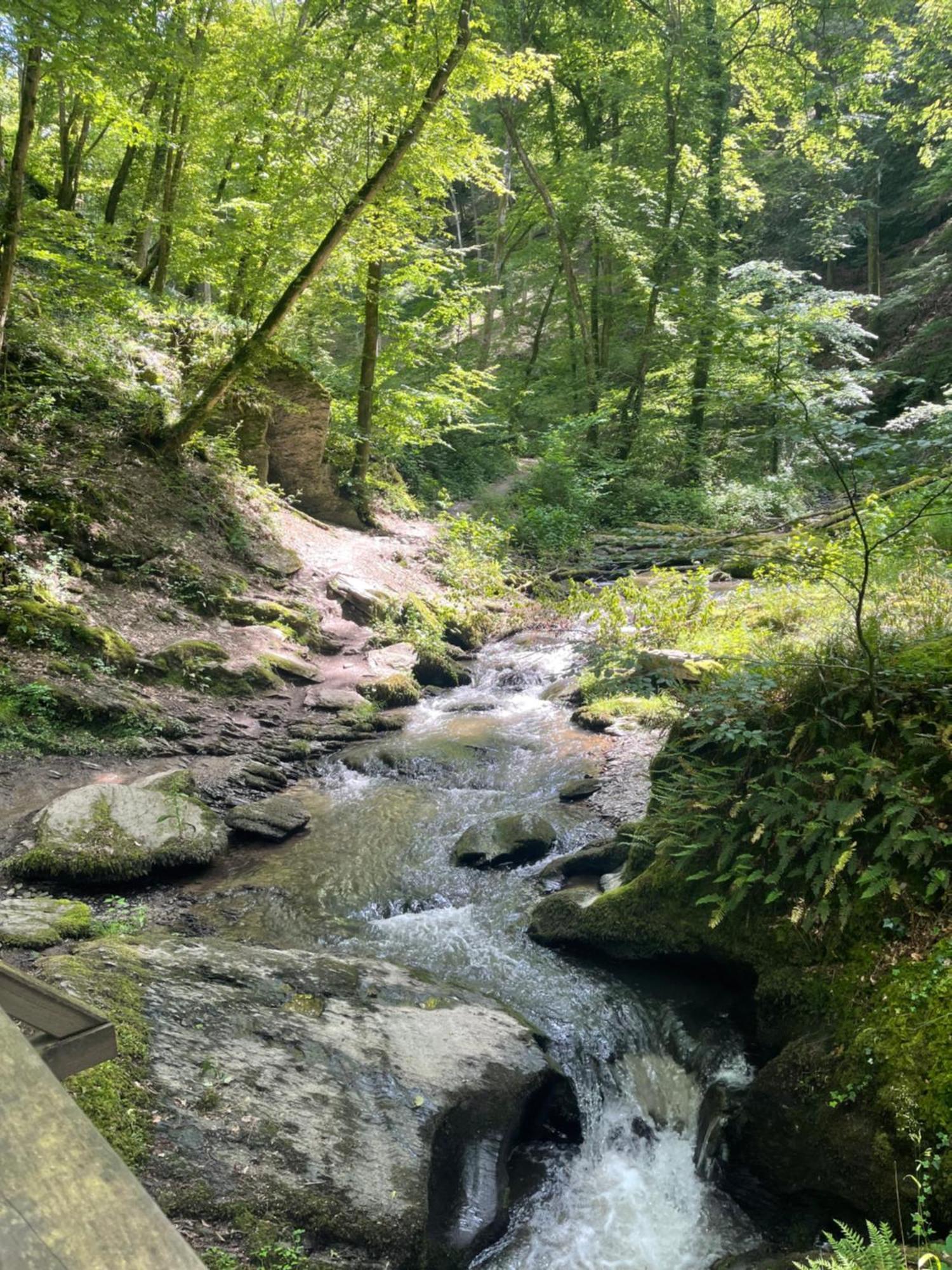 Am Apfelbaum, Ein Ferienhaus Zwischen Rhein Und Mosel 카스텔룬 외부 사진